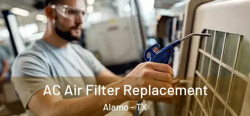  AC Air Filter Replacement Alamo - TX