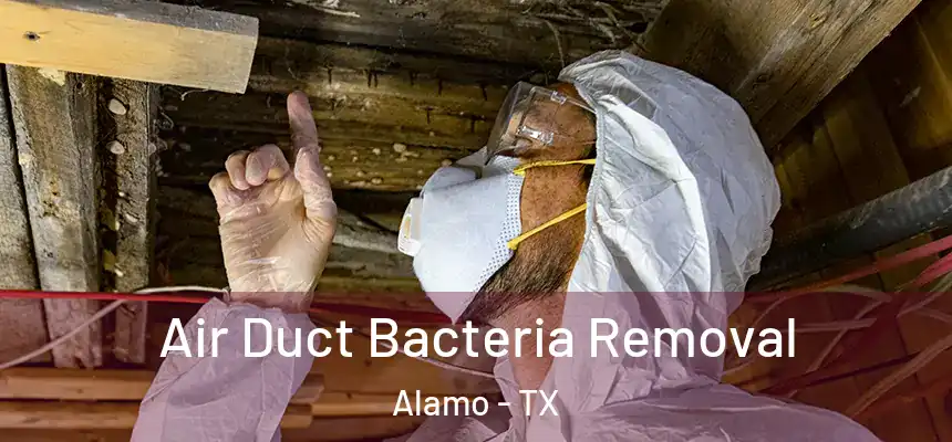  Air Duct Bacteria Removal Alamo - TX