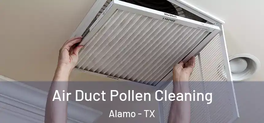  Air Duct Pollen Cleaning Alamo - TX