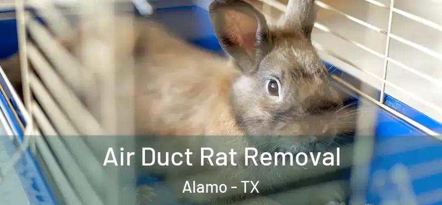  Air Duct Rat Removal Alamo - TX