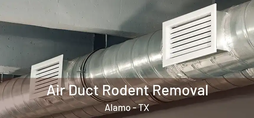  Air Duct Rodent Removal Alamo - TX
