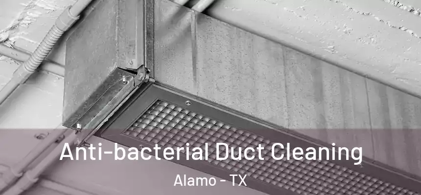  Anti-bacterial Duct Cleaning Alamo - TX
