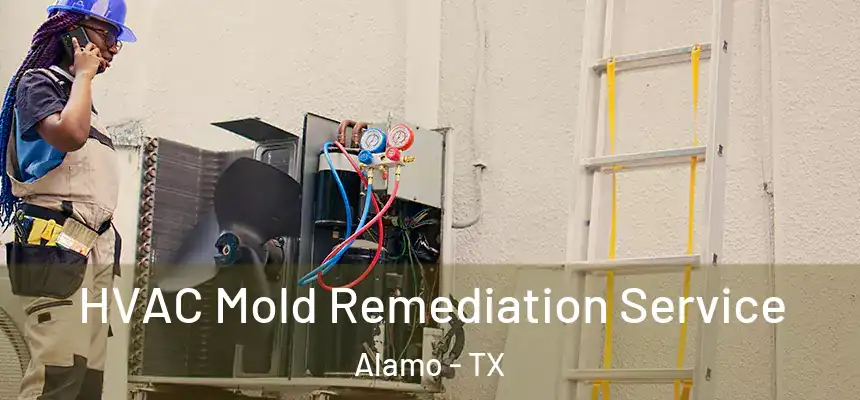  HVAC Mold Remediation Service Alamo - TX