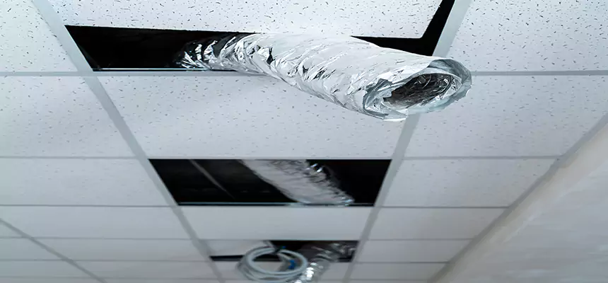 Affordable HVAC Sanitizing After Pest Removal in Alamo