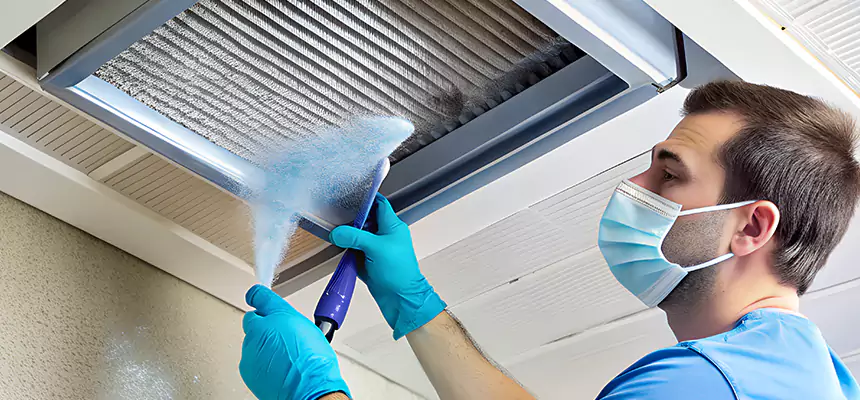 Proactive Dryer Vent & Auxiliary Duct Pollen Cleanup in Alamo, TX