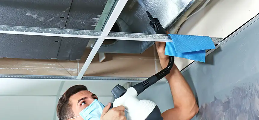 Our Air Duct Rodent Removal Services in Alamo, TX