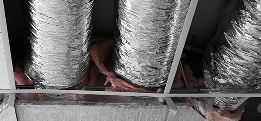 Scalable Commercial Multi‑Unit Dryer Vent Camera Inspection in Alamo, TX