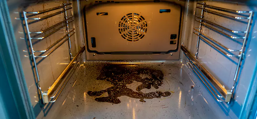 Our Dryer Vent Mold Cleaning Services in Alamo, TX