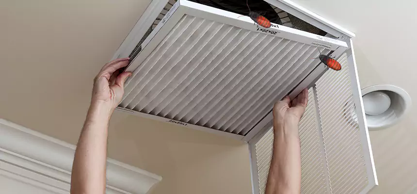 Our Insect Removal from Air Ducts Services in Alamo, TX