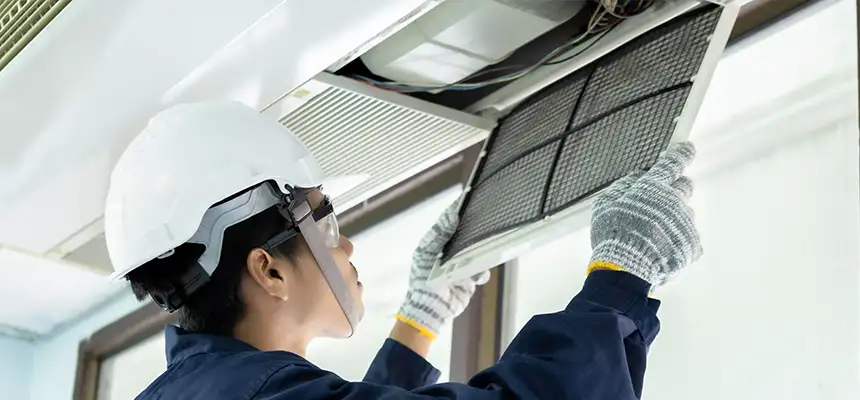 Our Lint Trap Cleaning Service Services in Alamo, TX