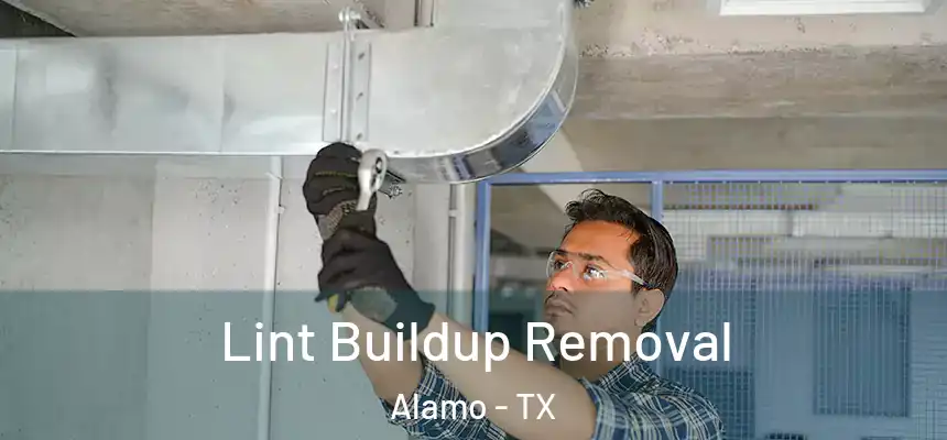  Lint Buildup Removal Alamo - TX