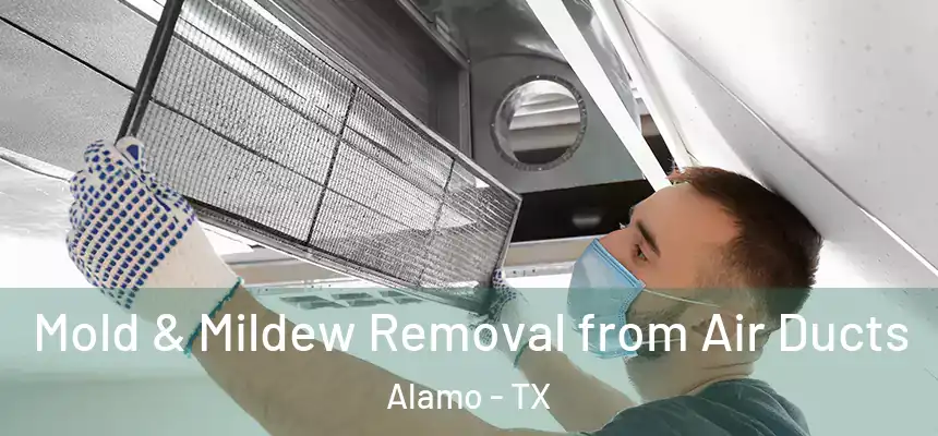  Mold & Mildew Removal from Air Ducts Alamo - TX