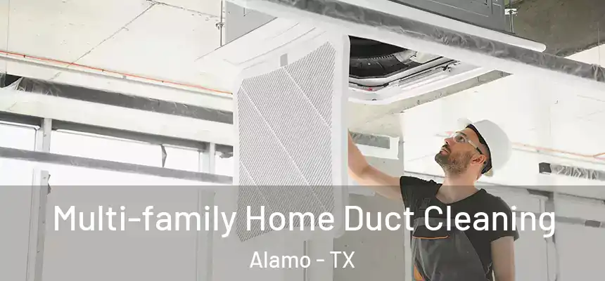  Multi-family Home Duct Cleaning Alamo - TX