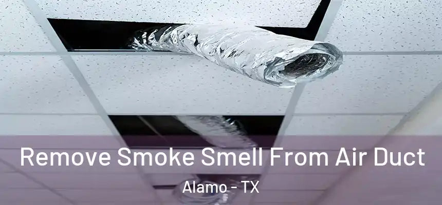  Remove Smoke Smell From Air Duct Alamo - TX