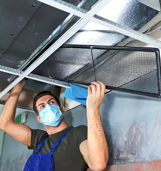Professional Air Duct Pollen Cleaning in Alamo, TX