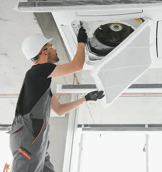 About Air Duct Rodent Removal in Alamo, TX