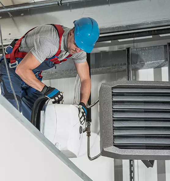 About HVAC Mold Remediation Service in Alamo, TX