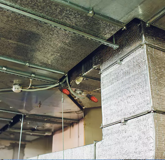 Why Homeowners & Businesses Trust Us in Alamo, TX?