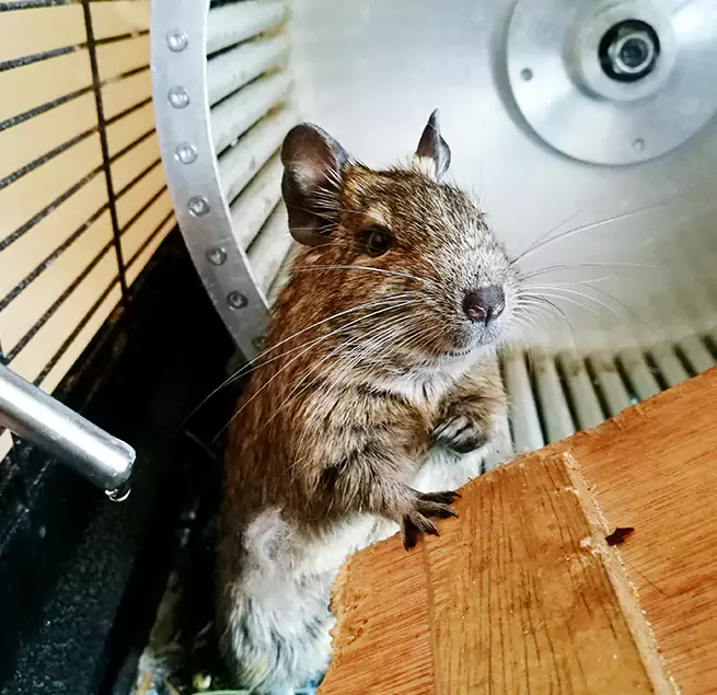 Why Homeowners & Businesses Trust Us Alamo, TX