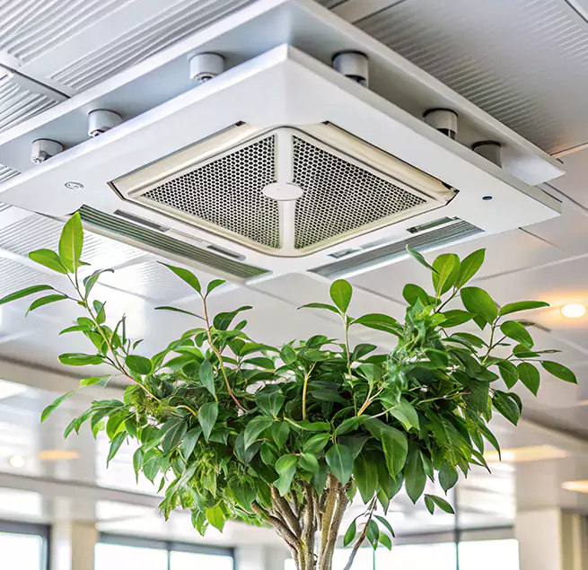 Why Homeowners & Businesses Trust Us in Alamo, TX?