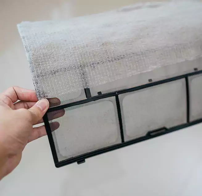 Why Homeowners & Businesses Trust Us in Alamo, TX?